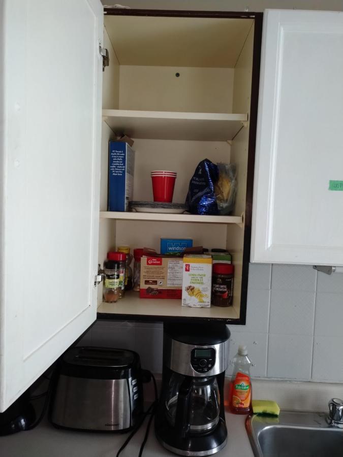 Cozy Downtown Two Bedrooms Free Parking Kingston Eksteriør billede