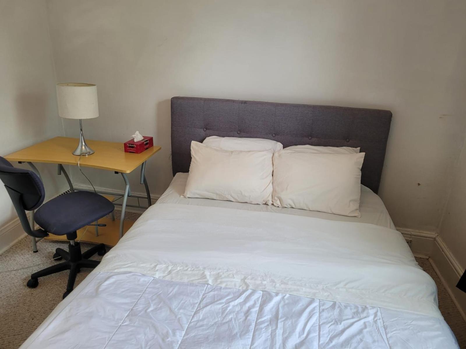 Cozy Downtown Two Bedrooms Free Parking Kingston Eksteriør billede